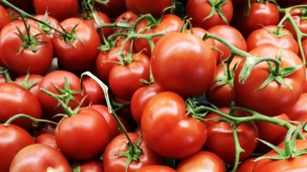 Hvor lenge koker du tomater til hermetikk