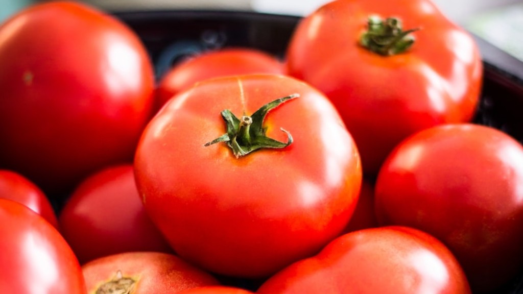 Er torvmose bra for tomater